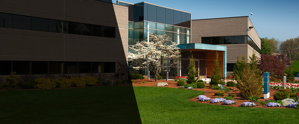 College Park Landscapers