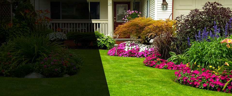 College Park Landscapers