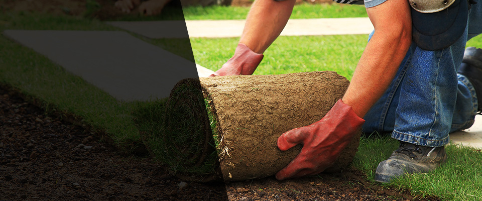 College Park Landscapers